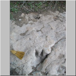 100_0080 (2009-24-07).JPG